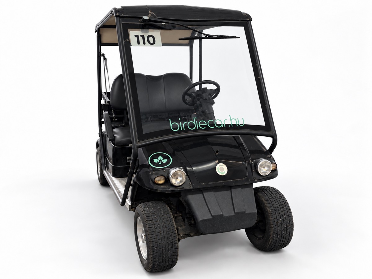 Birdie Car-GO – főnézet